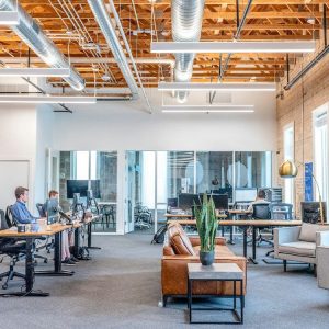 beautiful office_leather couch_plants_open plan